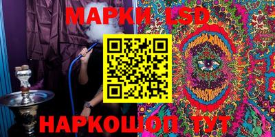 шишки Брянск