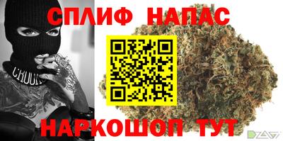 jwh Белореченск