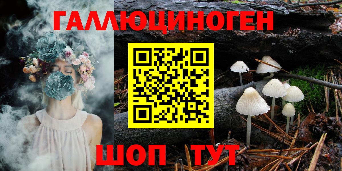 Псилоцибиновые грибы Psilocybe  Вход с VPN  Муравленко  Псилоцибиновые грибы MAGIC MUSHROOMS 